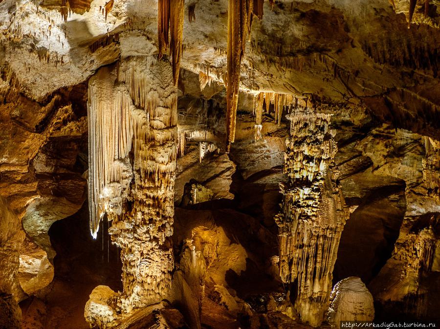 Пещера Пон-д-Арк / Caverne du Pont d'Arc