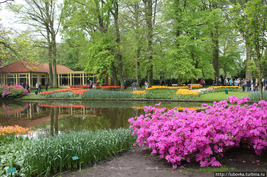 Good park. Парк Кекенхоф план. Розоаве парки Европы. Парк Кейкенхоф карта. Парк кёкенхоф и озеро.