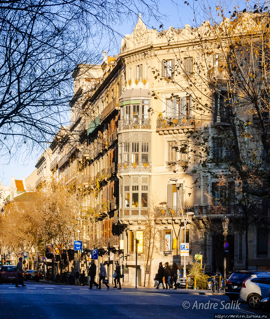 Hummus Barcelona Вегетарианский  рестороран Барселона, Испания