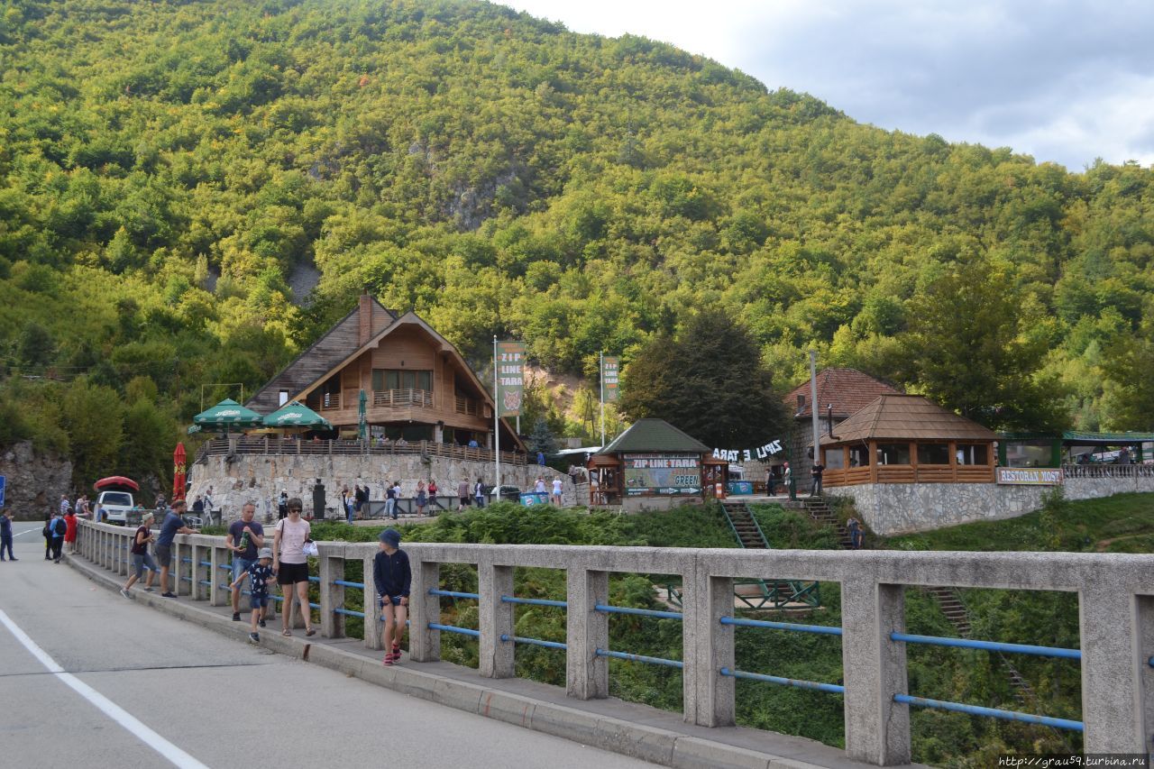 Зиплайн Национальный парк Дурмитор, Черногория