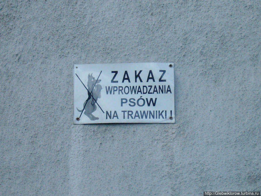 Прогулка по ноябрьской Варшаве Варшава, Польша