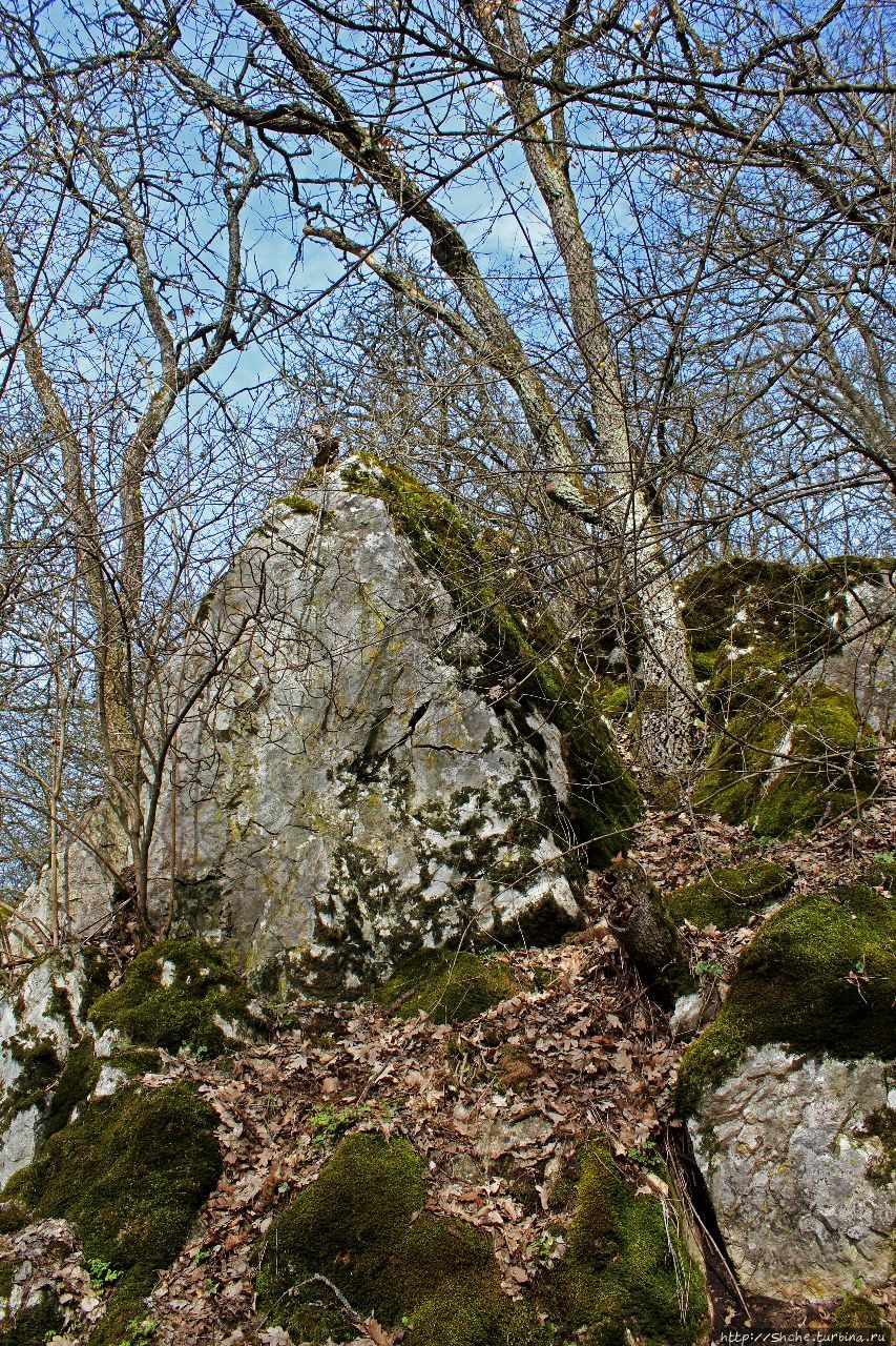 Природные тропы Барадла Аггтелек Национальный Парк, Венгрия
