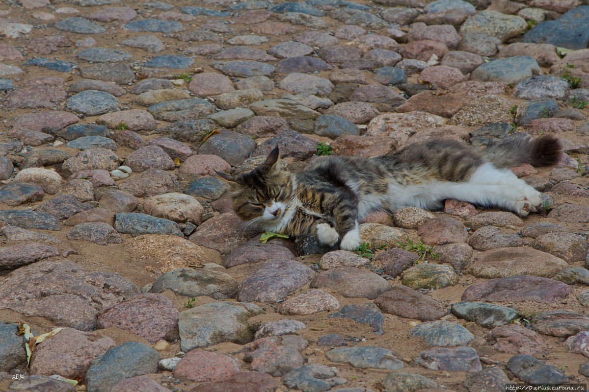 Печоры Печоры, Россия