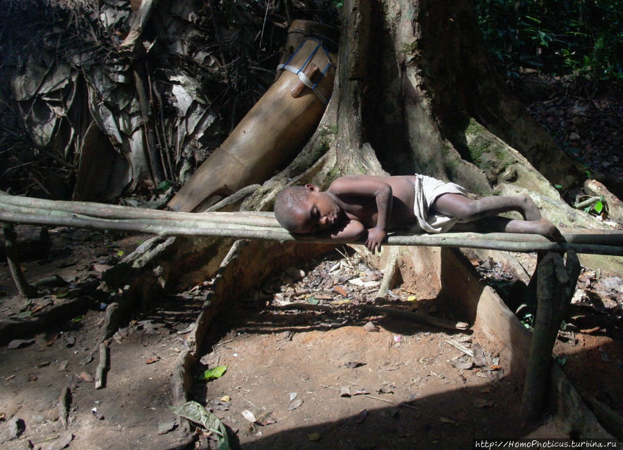 Пигмеи бака. Основы выживания в джунглях Джа Заповедник, Камерун