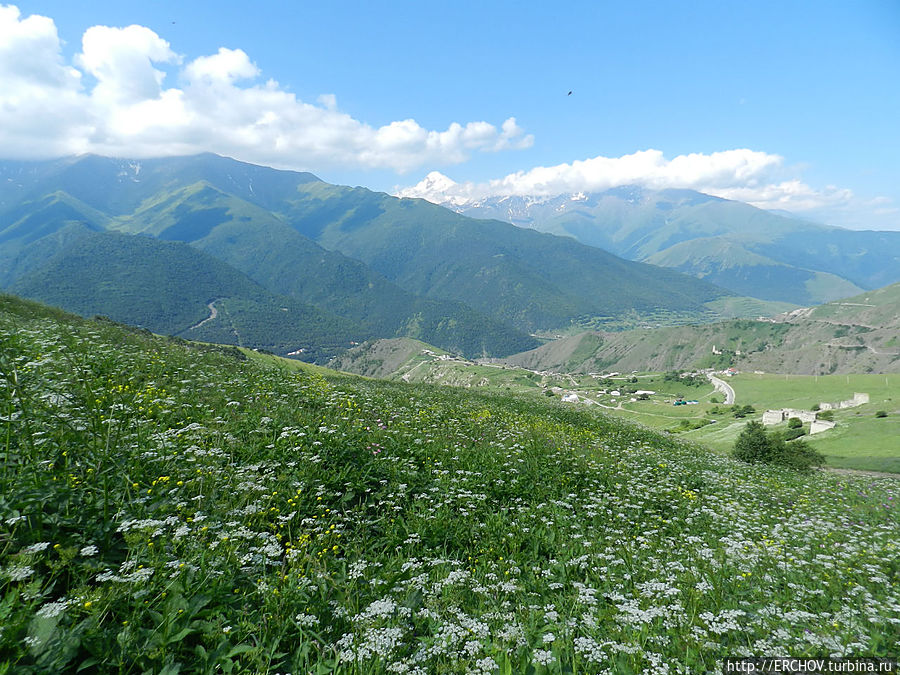 Ингушские горные луга Ингушетия, Россия