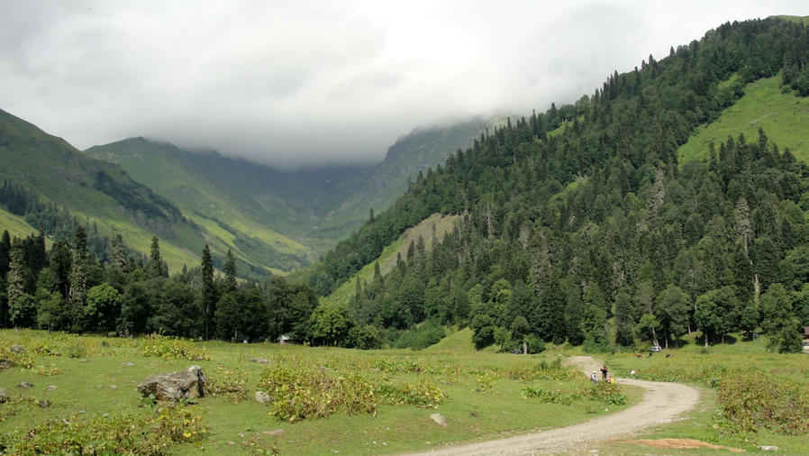 Дорога на озеро Мзы Авадхара, Абхазия