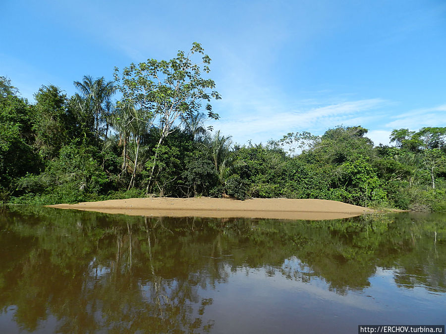 Дальние страны. Часть 5. Затопленный лес и Черепашья гора Регион Потаро-Сипаруни, Гайана