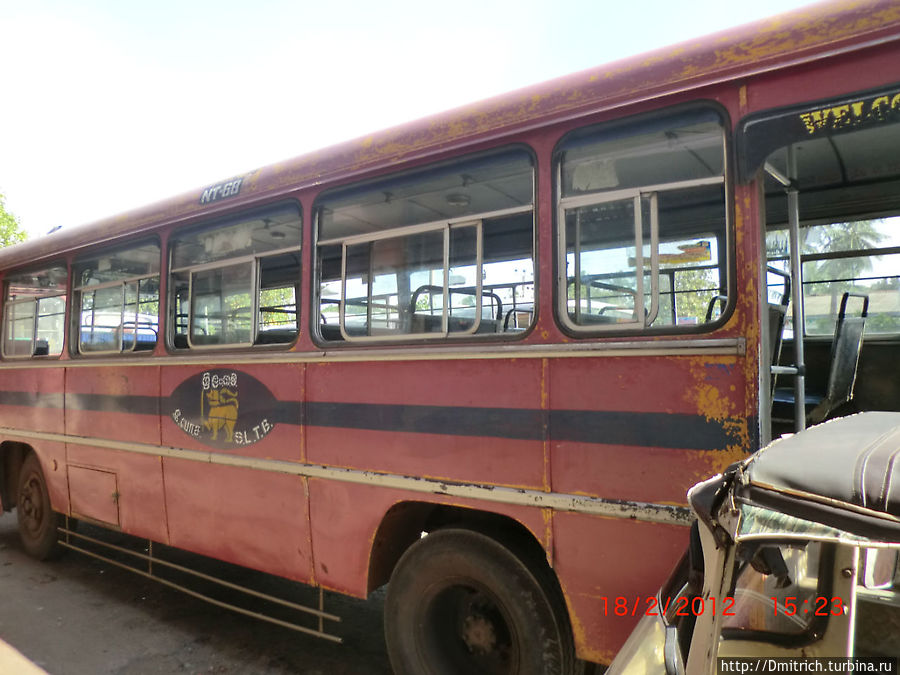 Нет, этот автобус поедет!