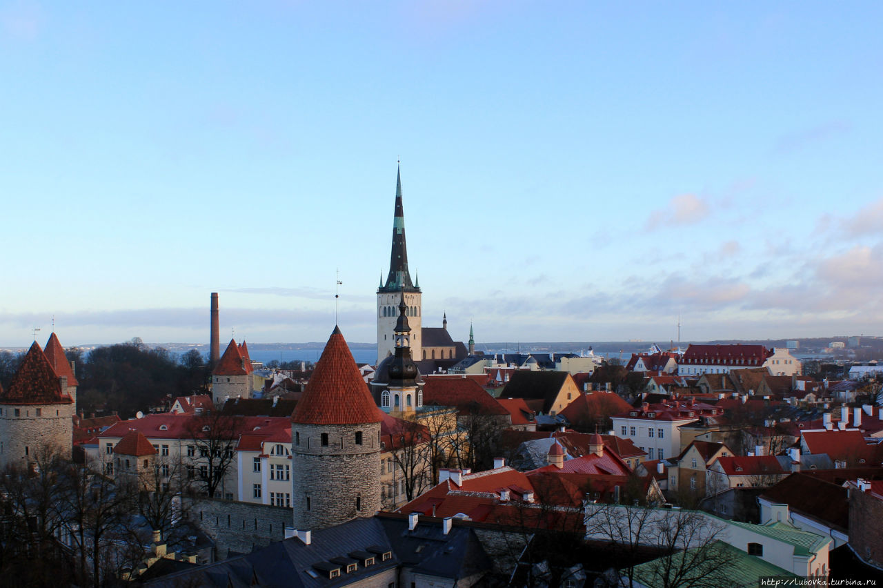Славная традиция Таллин, Эстония