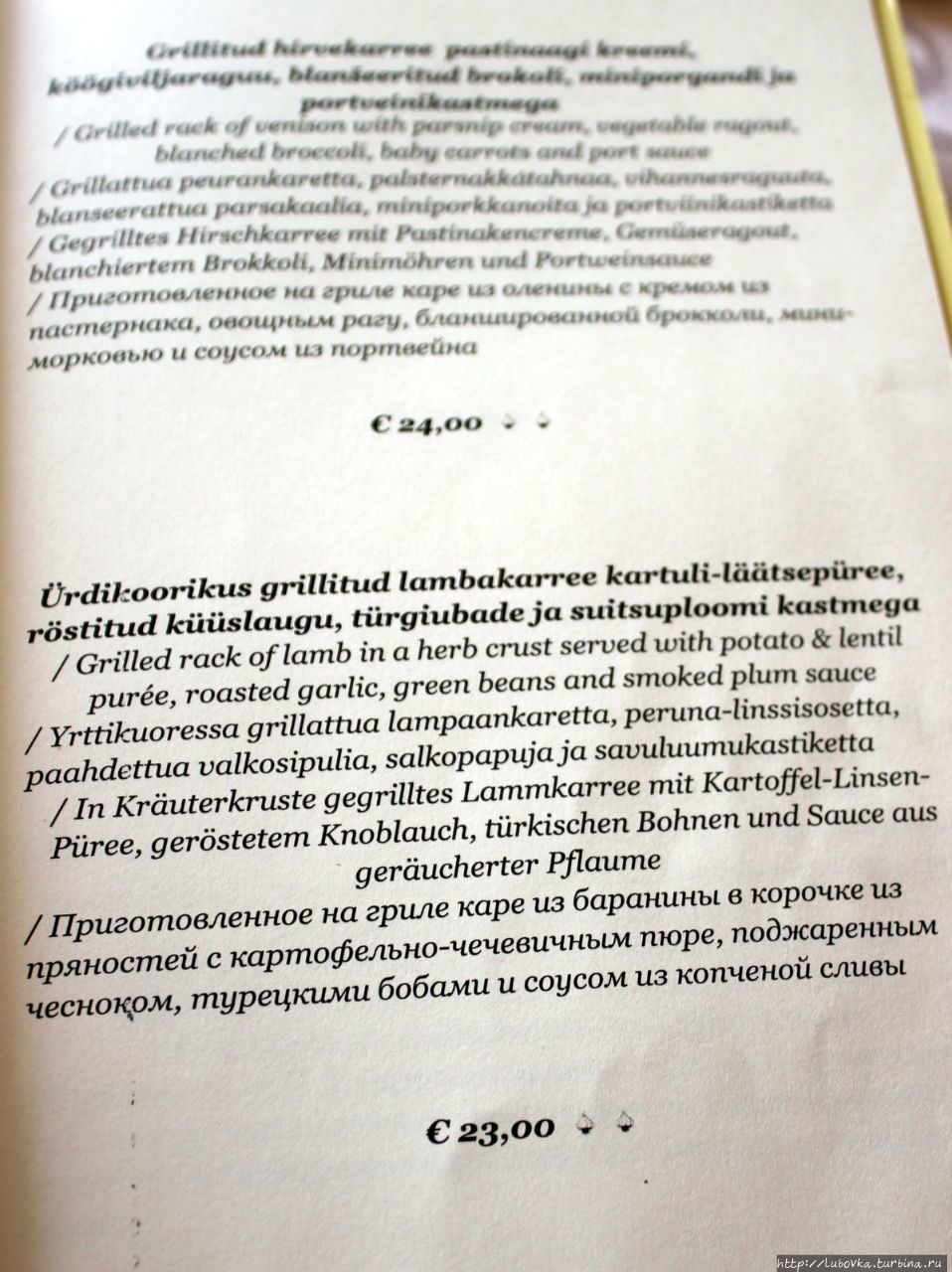 Сага о Чесноке — продолжение Таллин, Эстония