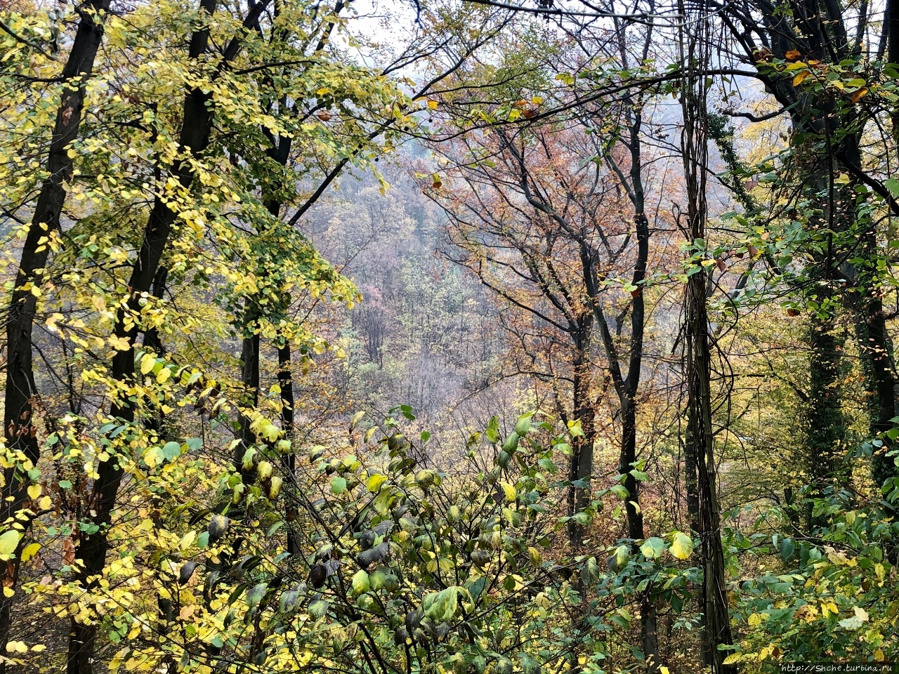 Осень в национальном парке Фрушка-Гора Фрушка-Гора Национальный парк, Сербия
