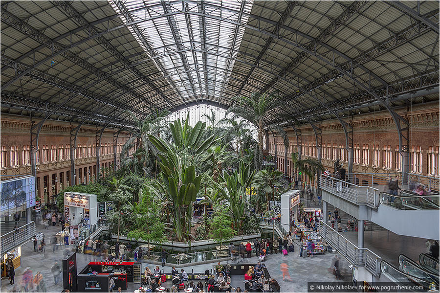 05. Вокзал Аточа и джунгли внутри вокзала Мадрид, Испания