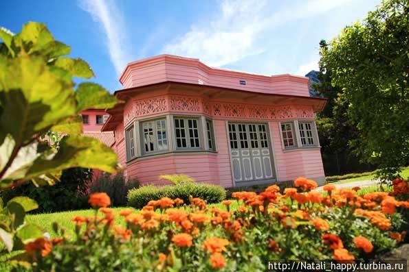 Путешествие на остров Реюньон Реюньон