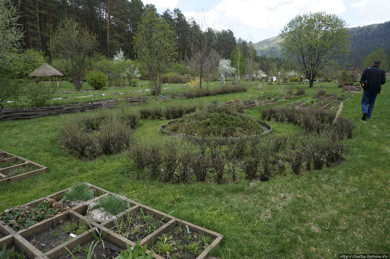 Ботанический сад – заповедный уголок Горного Алтая Камлак, Россия