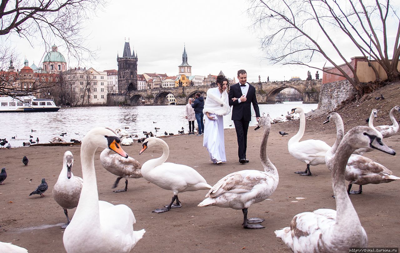 Прага, 23.02.2017 (альбом) Прага, Чехия