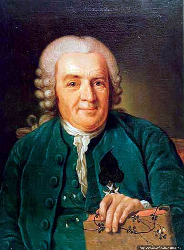 Карл Линней ( 1707 —  1778 ) и любимое растение. Уппсала, Швеция