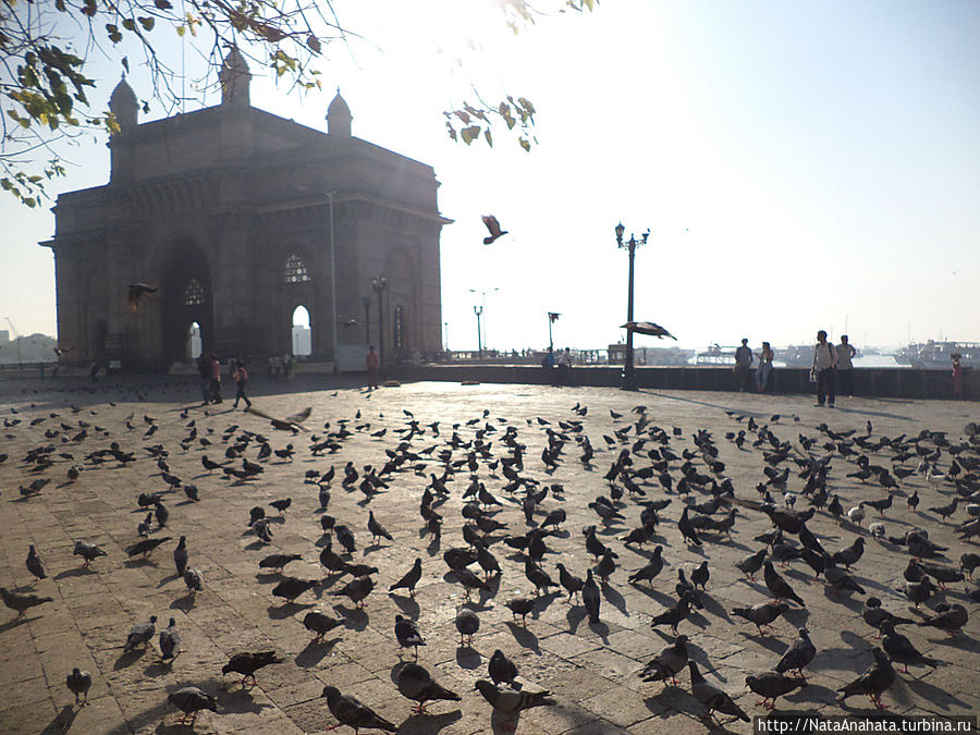 Индиан гейтс (врата Индии)