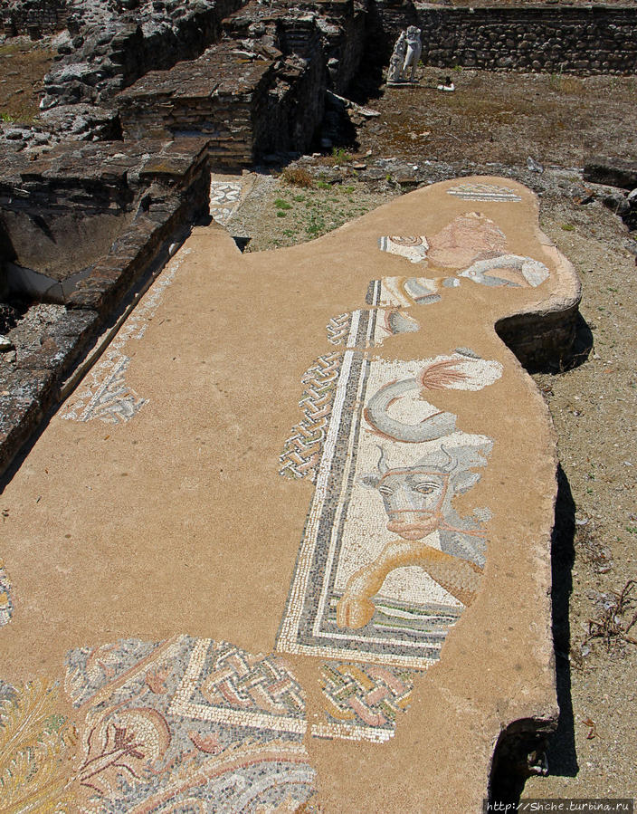 ну и еще один известный участок — на всех полах бань мозаика была в виде орнаментов, и только здесь различные существа Дион, Греция