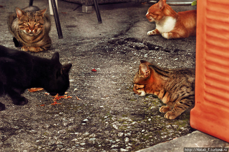 Приятно поужинать в кругу своих близких друзей :)