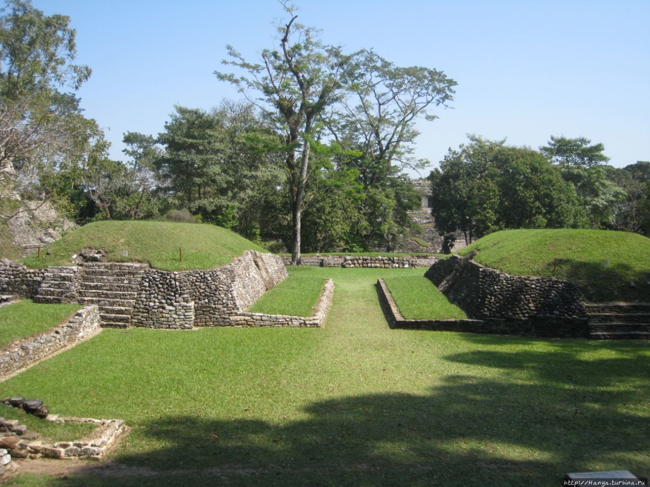 Руины Паленке / Ruinas Palenque
