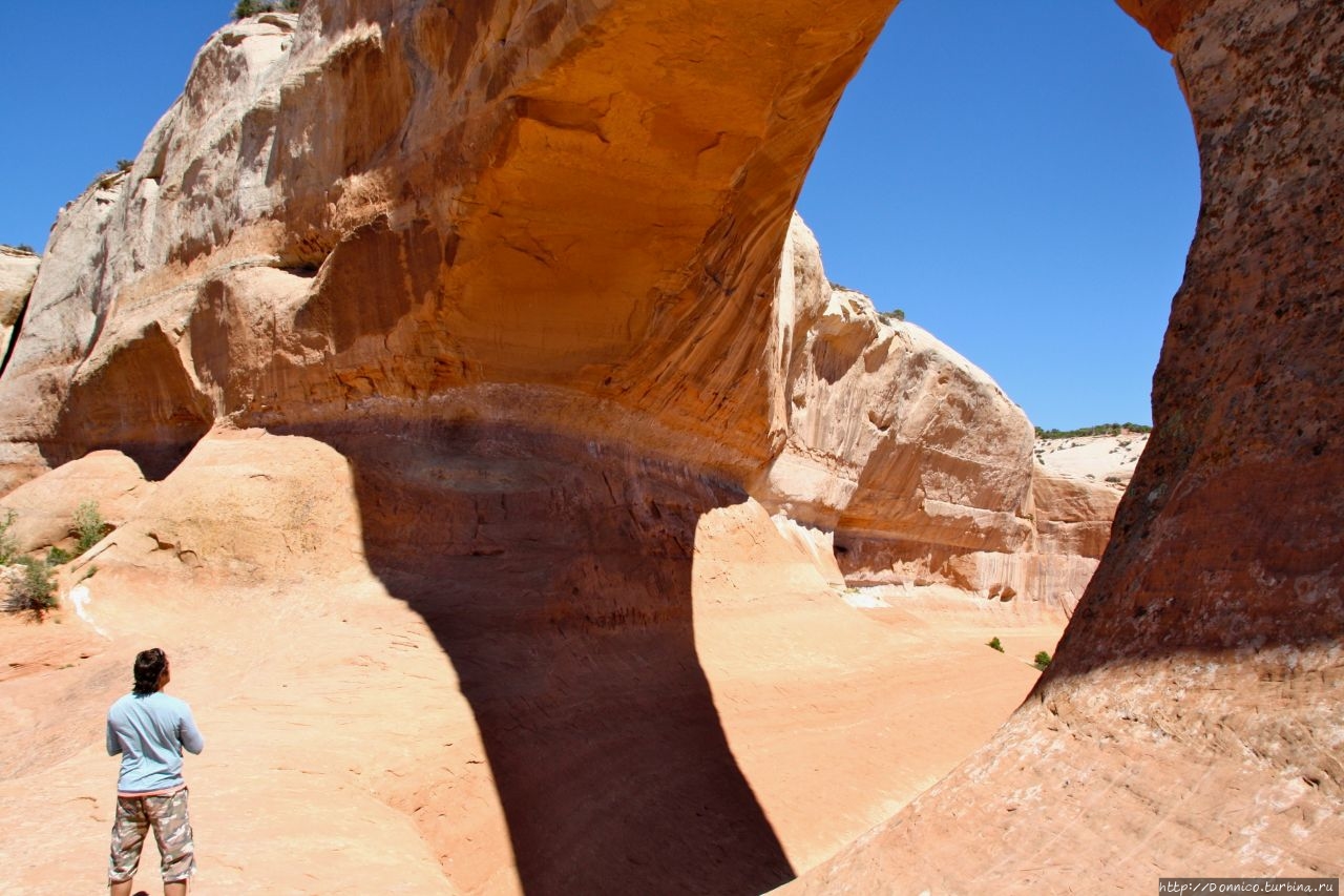 Арка Вилсона / Wilson Arch