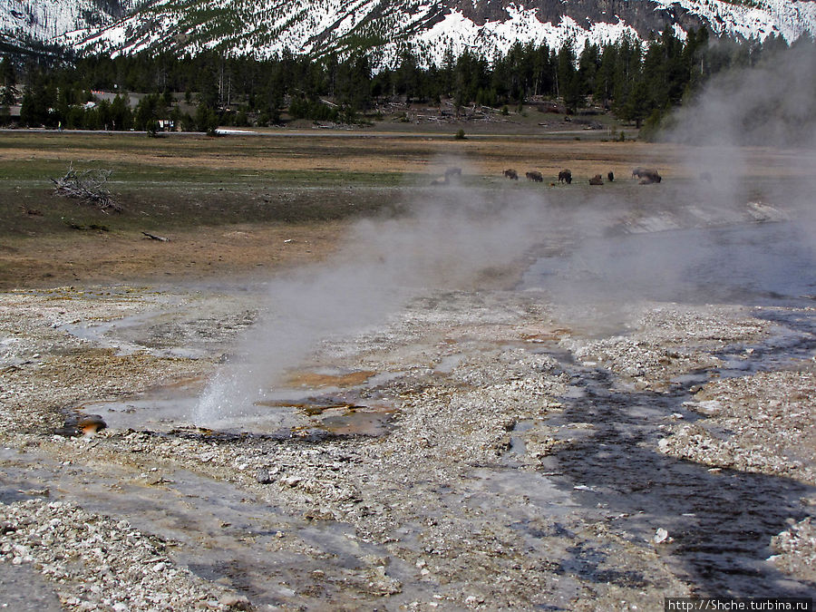 От гейзера к гейзеру. Возвращение на Geyser Hill Йеллоустоун Национальный Парк, CША