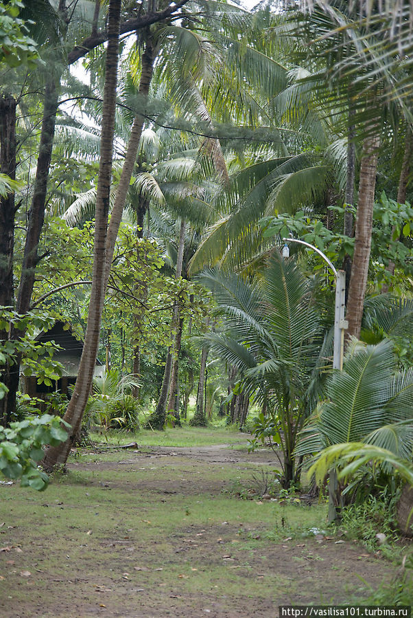 ЮВА 2012 — дни 8-16 — Ко Чанг Остров Ко-Чанг, Таиланд