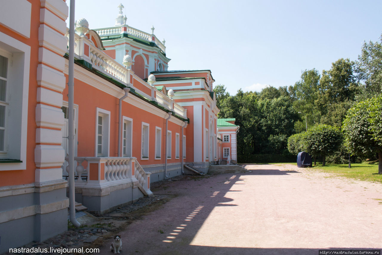 Прогулка по усадьбе Кусково Москва, Россия