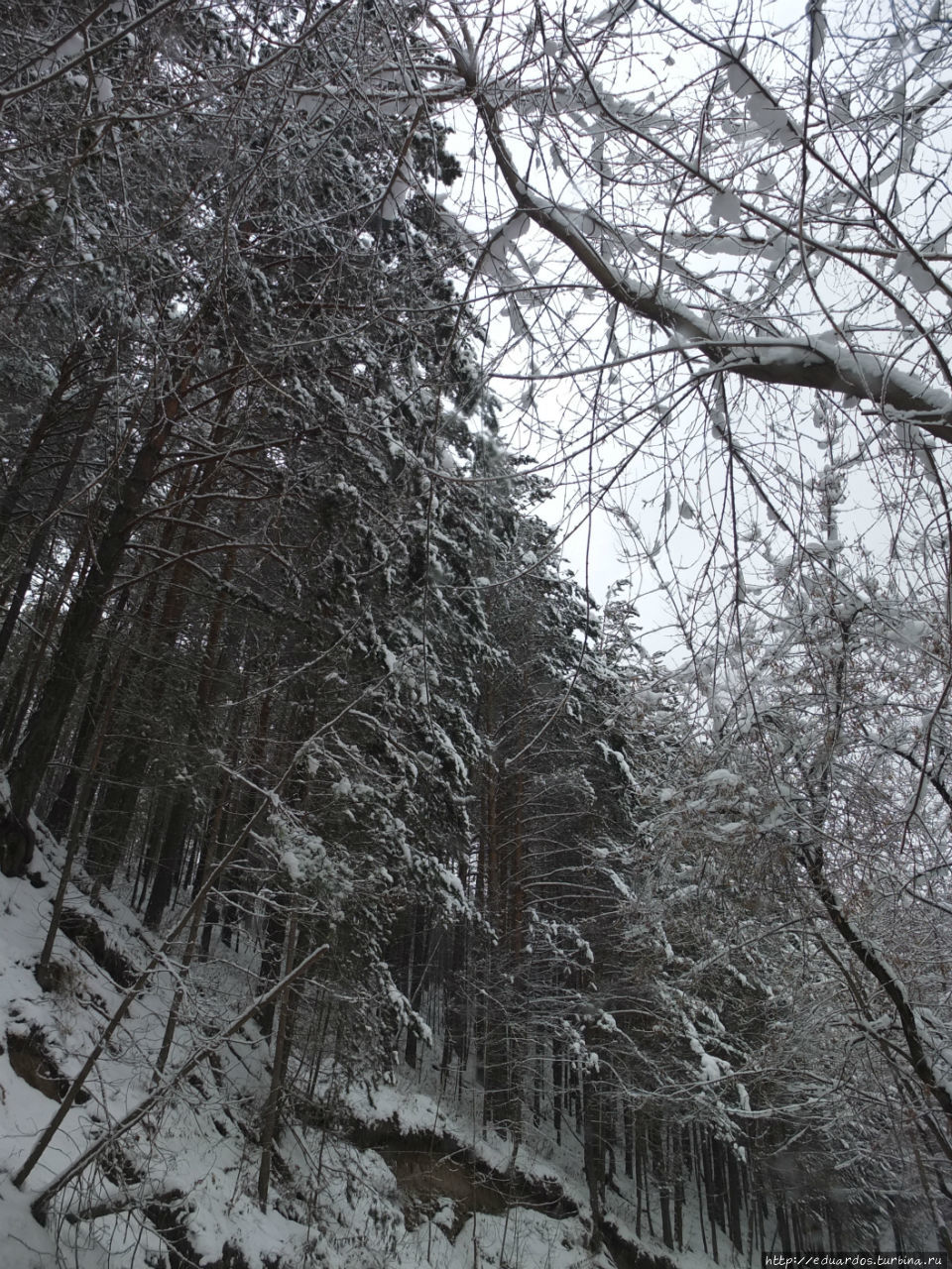 Прекрасный снежный денёк!!! Красноярск, Россия