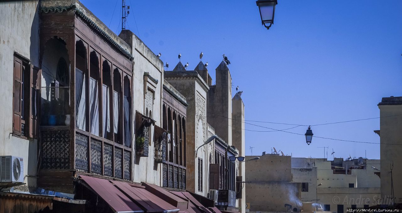 Фес - жемчужина арабской культуры Марокко