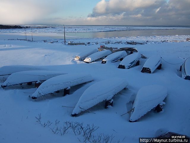 В  ожидании  летней  путины .