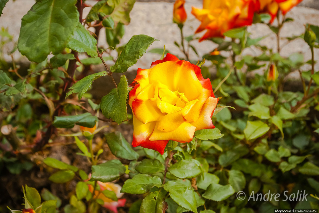 Райское местечко Керманшах, Иран