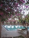 Отель Thazin Garden Hotel в Багане