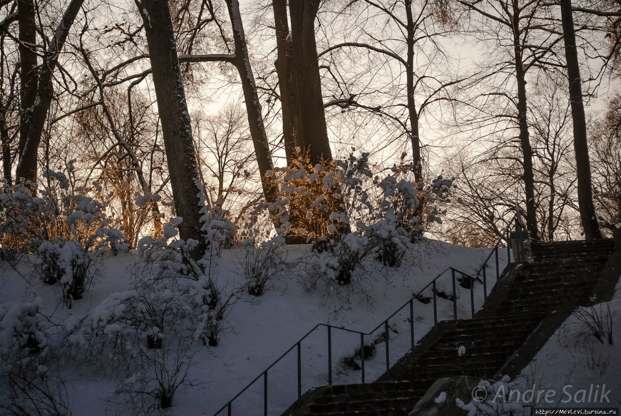 Мороз в парке Аркадия. Рига, Латвия