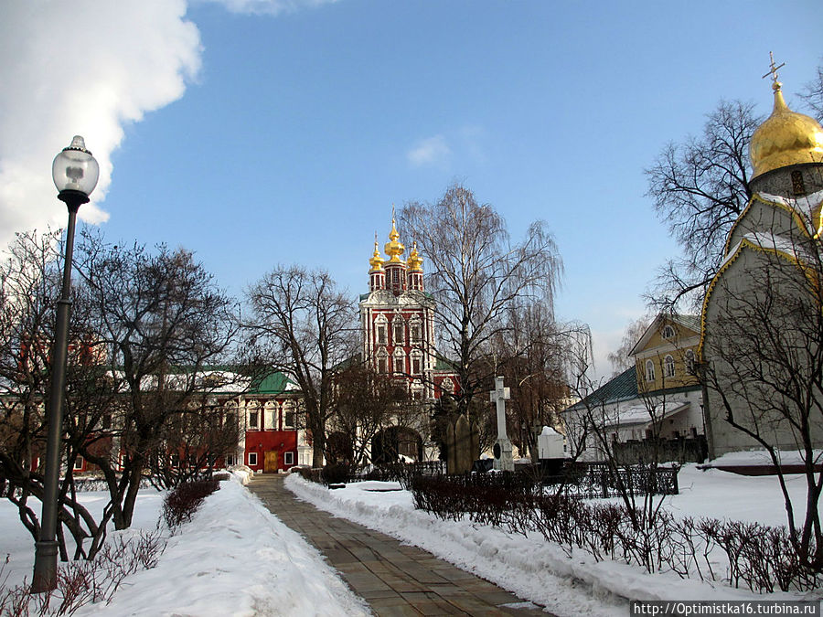 Случайная прогулка по Новодевичьему монастырю Москва, Россия