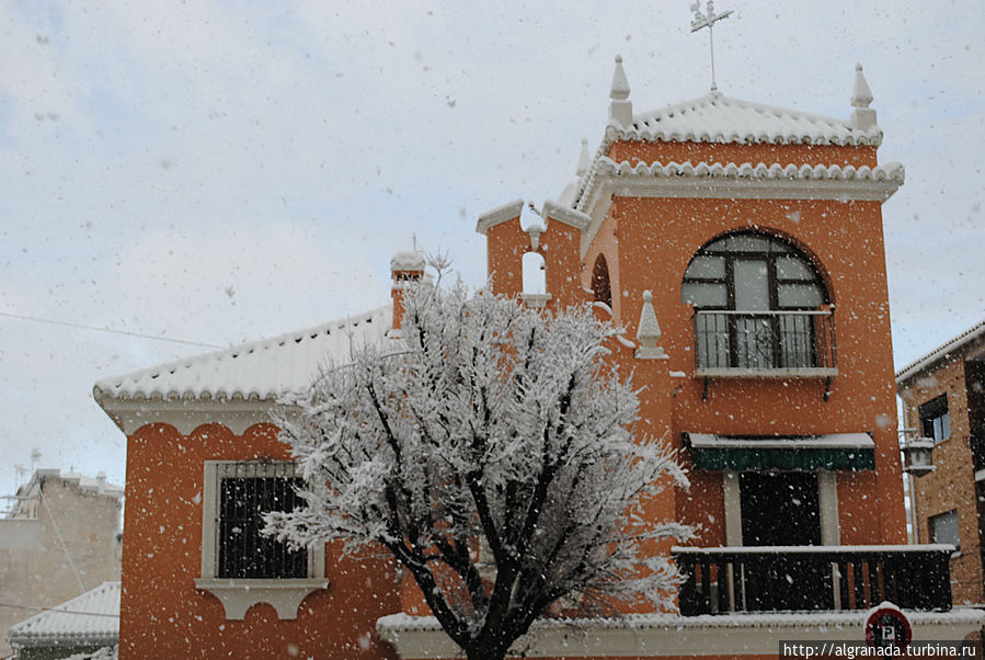 Апельсины в снегу Гранада, Испания