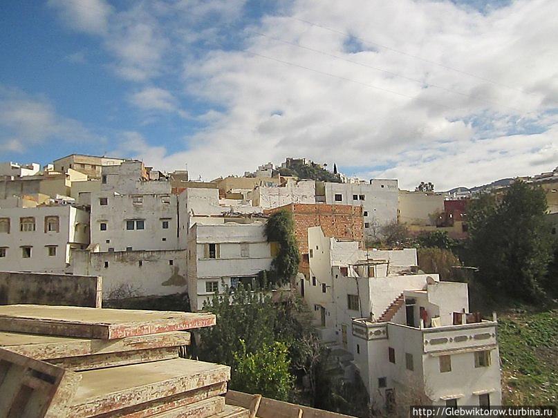 По пути в  Волюбилис Муле Идрис, Марокко