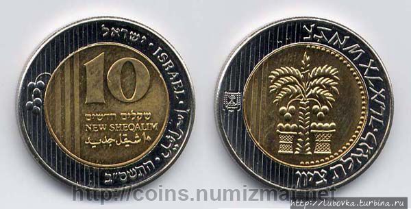 Пальмы, гранат, лилия Израиль Пальмы, гранат, лилия Израиль