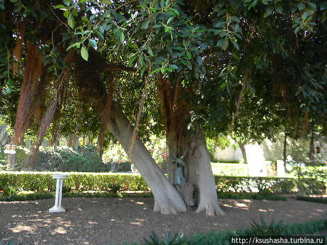 Бахайские сады — визитная карточка Хайфы Хайфа, Израиль