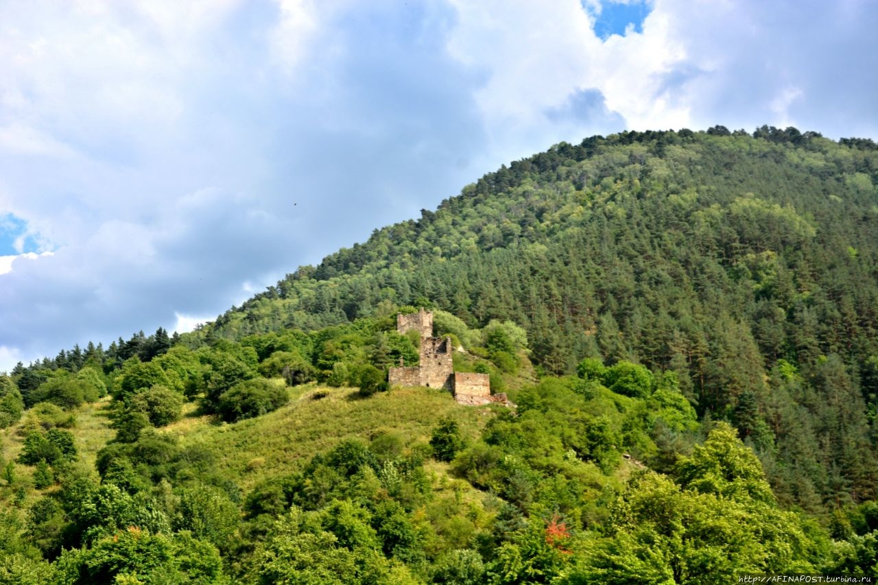 Вовнушки Вовнушки (замковый комплекс), Россия