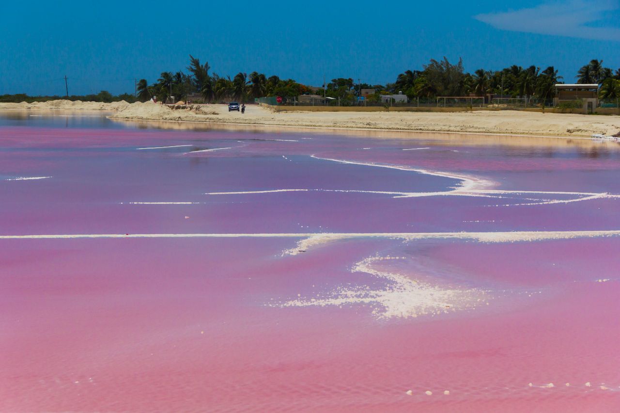 розовое озеро в мексике