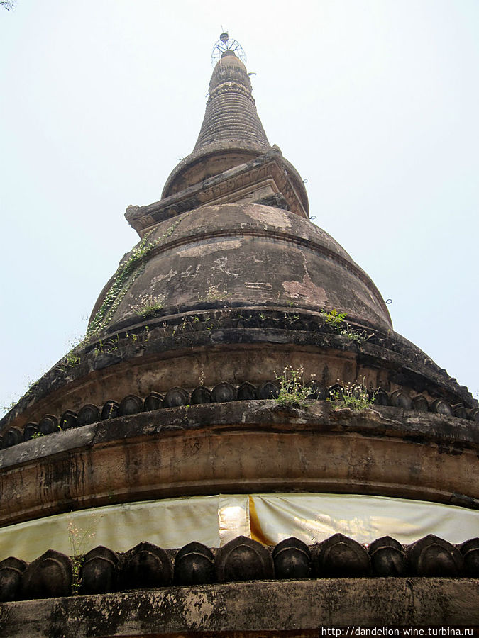 Лесной монастырь Ват Умонг (Wat Umong) Чиангмай, Таиланд