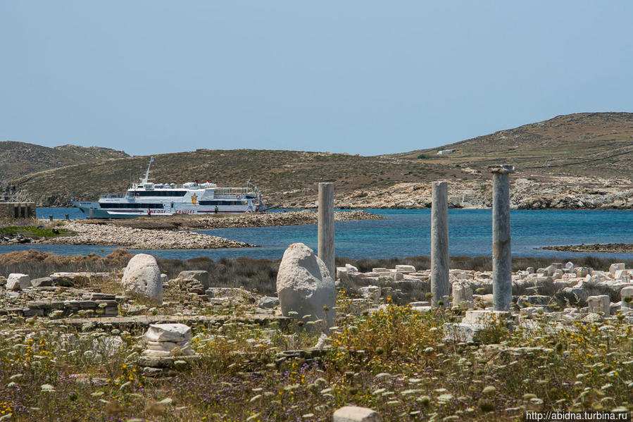 Остров Делос, или Здесь родились Аполлон и Артемида Остров Делос, Греция