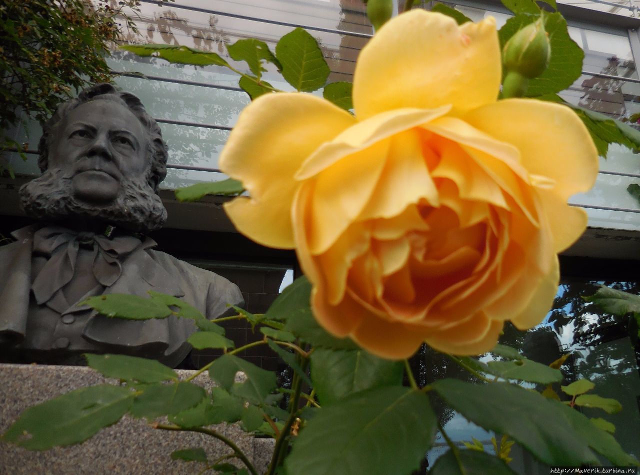 Молде — знакомство с 