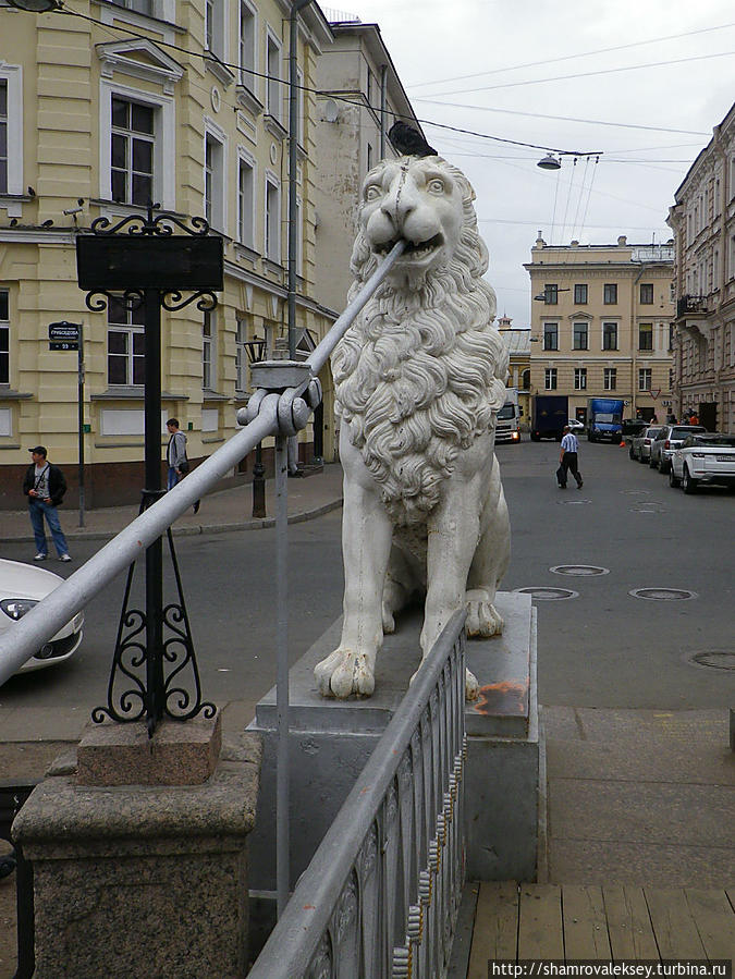 Санкт петербург львиный мостик