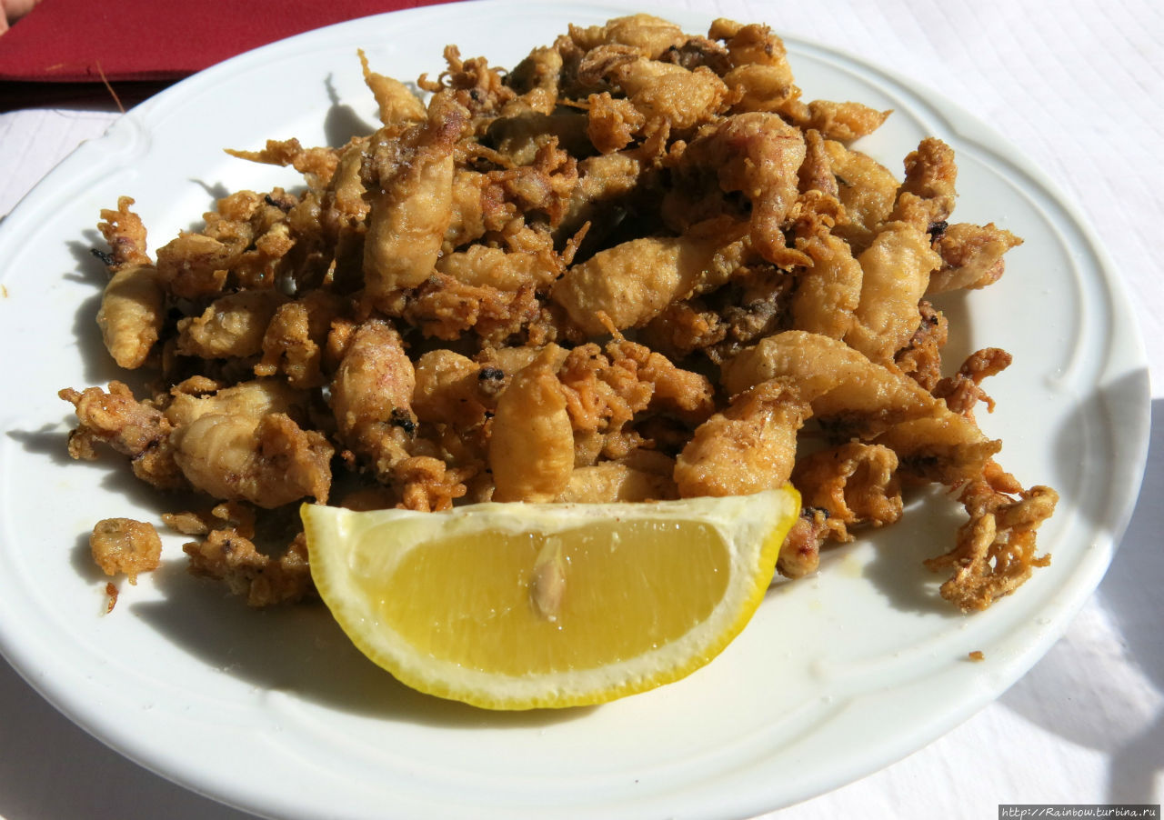 Три часа  удовольствия Тамариу, Испания