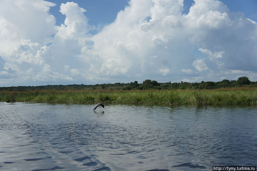 От Кампалы на север Уганда