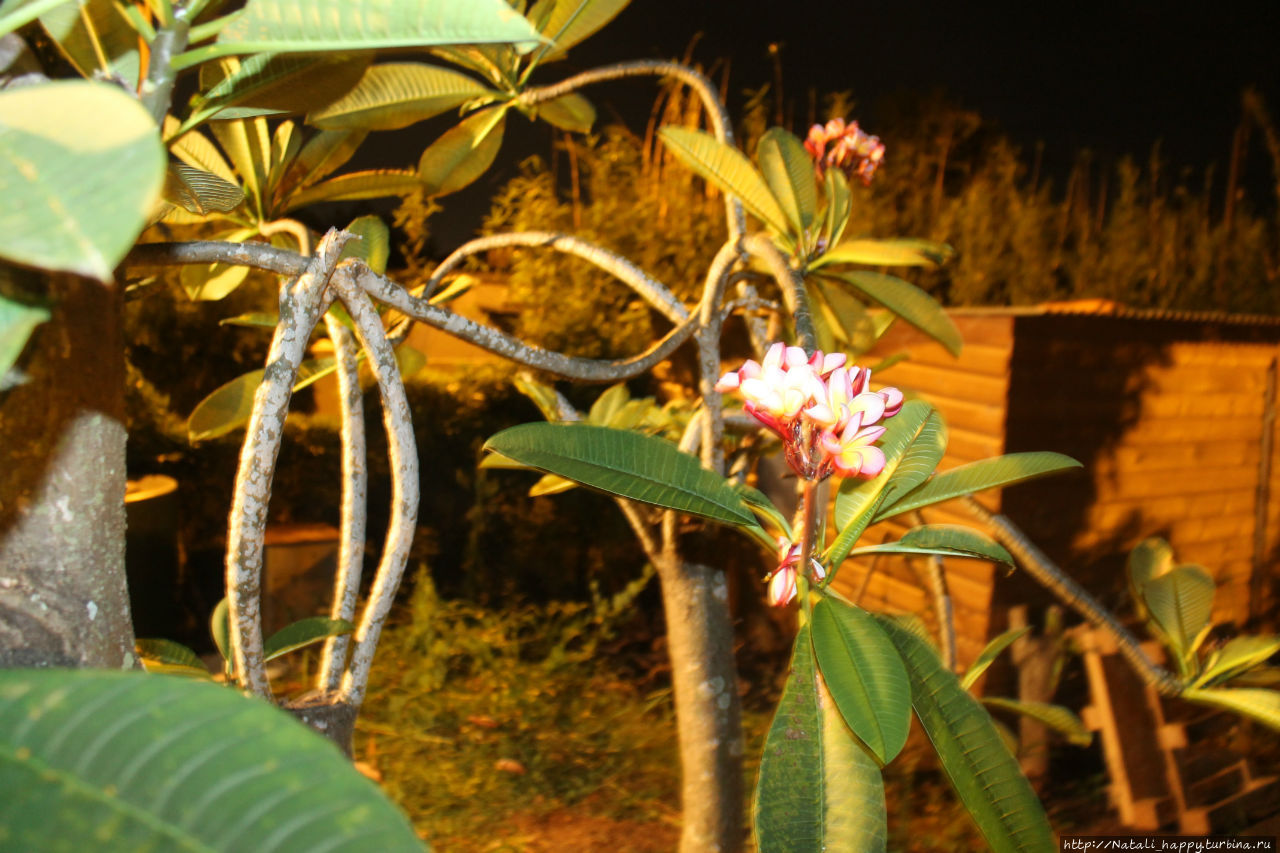 Не было печали...