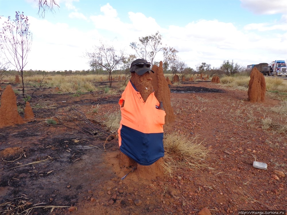 Из интернета