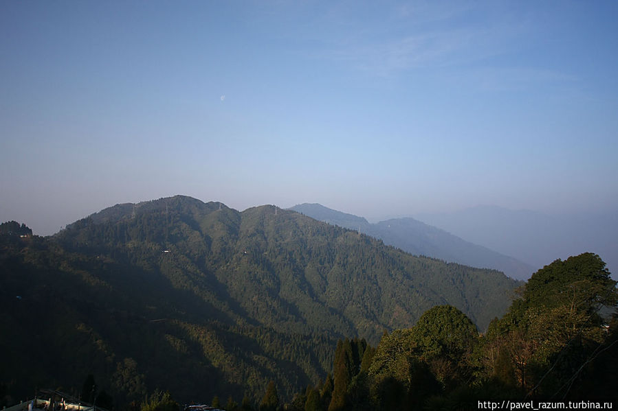 Индо-Непал (13) - Индийские Гималаи, Дарджилинг
